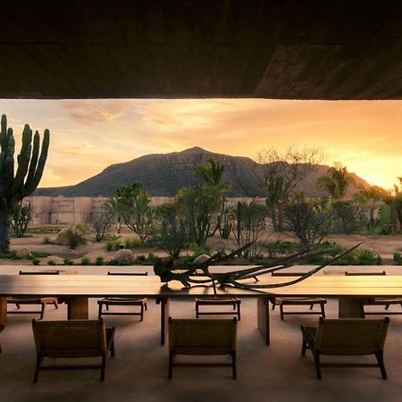 Paradero Todos Santos - Exclusive Experiences Included المظهر الخارجي الصورة