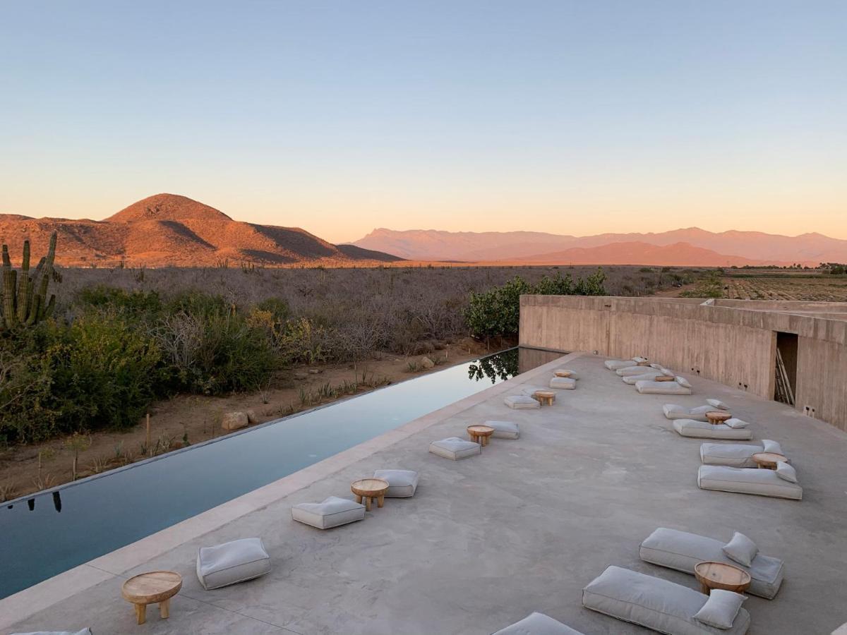 Paradero Todos Santos - Exclusive Experiences Included المظهر الخارجي الصورة