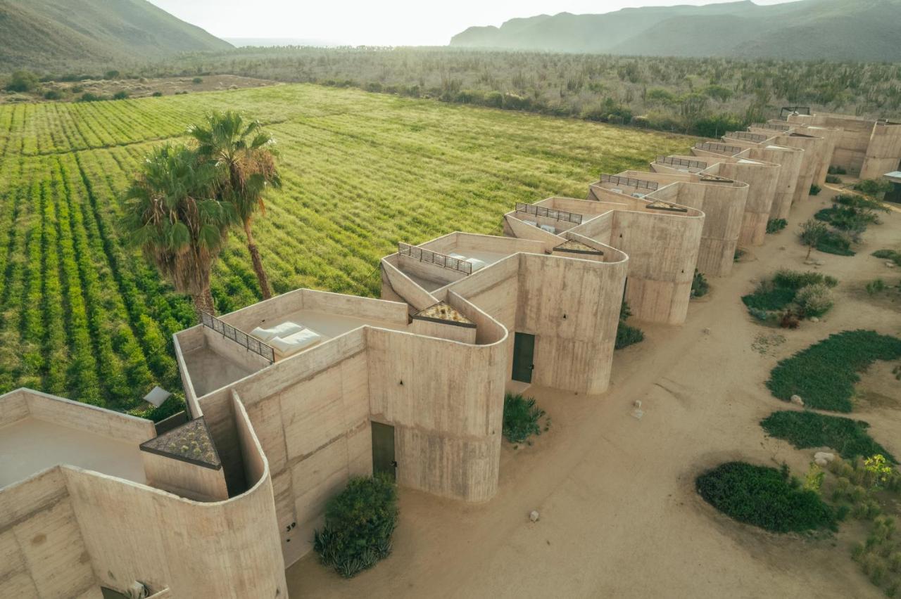 Paradero Todos Santos - Exclusive Experiences Included المظهر الخارجي الصورة
